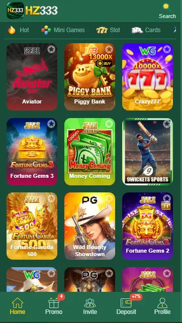 hz333 game interface
