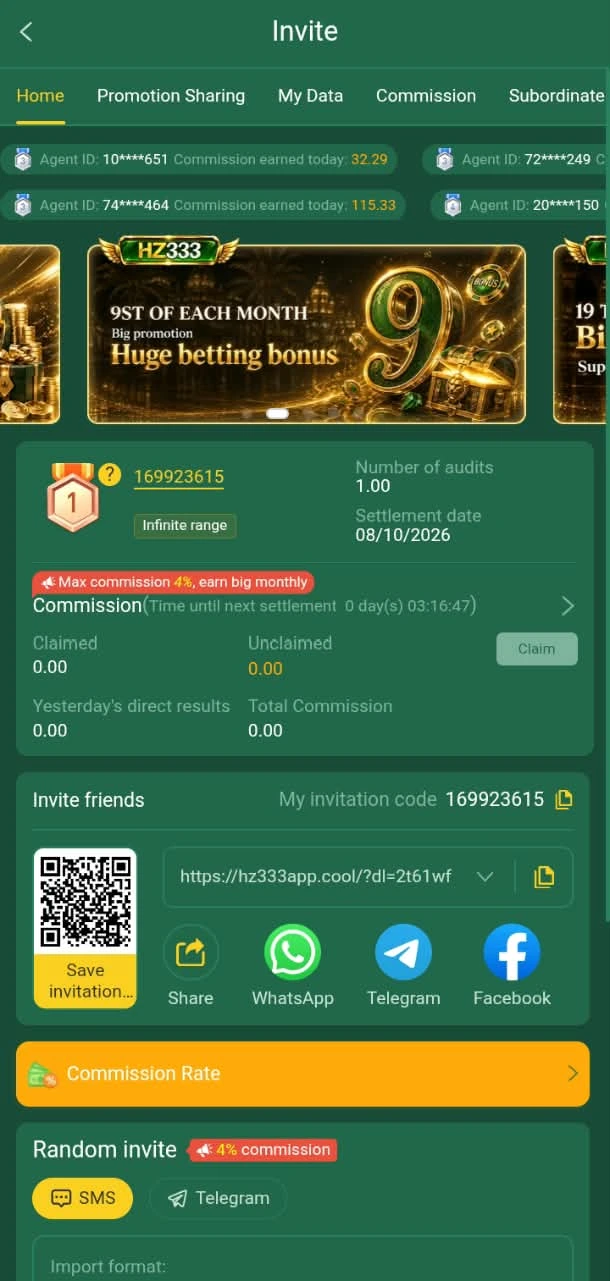 hz333 invites